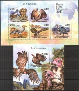 Comoro Islands 2011  Birds Vultures Sheet + S/S MNH