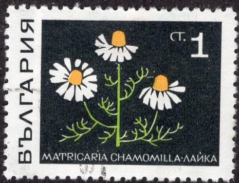 Bulgaria 1729 - Cto - 1s Camomile (1969)