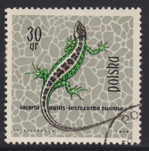 Poland 1134 Sand Lizard 1963