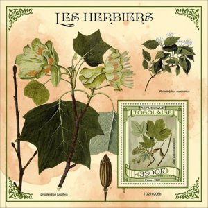 Togo - 2021 Herbariums, Sycamore Maple - Stamp Souvenir Sheet - TG210206b