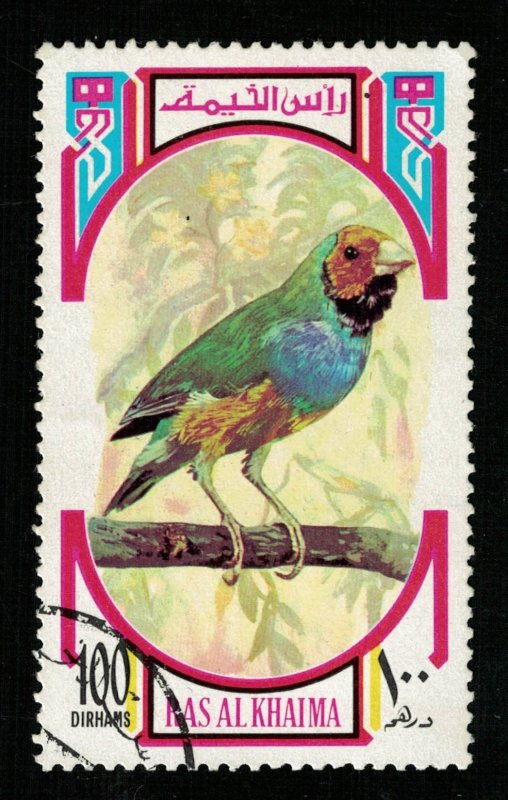 Bird, Ras al-Khaimah (ТS-2251)