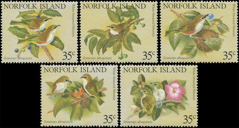 Norfolk Island 1981 Sc 287a-e Birds Whiteye CV $2.50