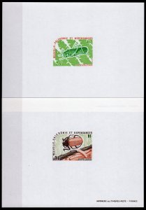 New Caledonia 1977 Sc#422/423 INSECTS (Beetle-Giant Grasshopper) 2 DELUXE SS MNH