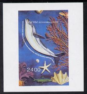 Abkhazia 1995 Animals (Dolphin & Shell) imperf souven...