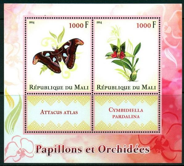 MALI SHEET BUTTERFLIES INSECTS ORCHIDS