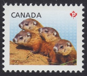 Baby Animals = WOODCHUCKS Stamp from Souvenir Sheet = Canada 2013 #2602a MNH