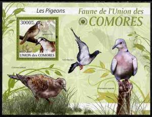 Comoro Islands 2009 Pigeons perf s/sheet unmounted mint Y...