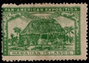 1901 US Poster Stamp Pan American Exposition Hawaiian Islands Unused