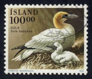 Iceland #722 Northern Gannet Bird; Used at Wholesale