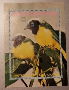 Equatorial Guinea Australia & S American Birds