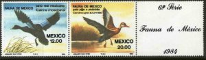 MEXICO 1347b, Fauna, ducks, Horizontal Pair with label MINT, NH. VF