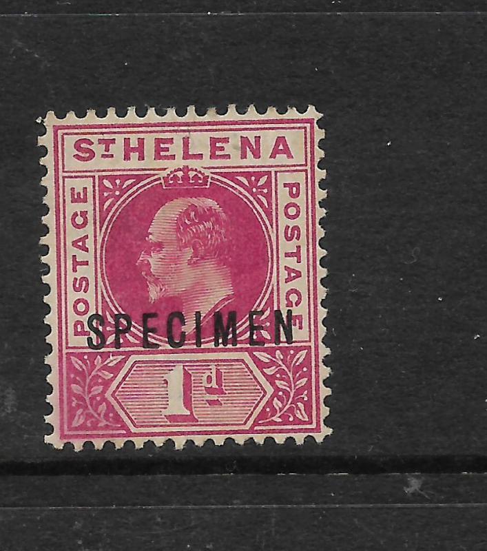 ST HELENA  1902  1d   KEVII   MLH  SPECIMEN   SG 54s