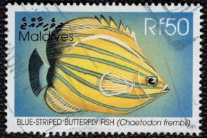 Maldive Islands 2339 - Used - 50r Blue-striped Butterfly Fish (1998) (cv $11.65)