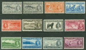 SG 209-220 Newfoundland 1932 set of 12. Fine fresh mounted mint CAT £100