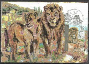 Israel 1992 Asian Lion The Jerusalem Zoo Maximum Card