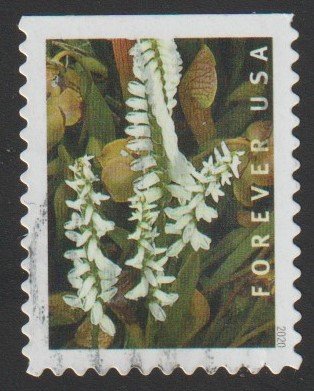 SC# 5449 - (55c) - Wild Orchids, 5 of 10 - used bklt single off paper