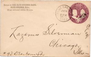 United States Nebraska Blue Springs 1893 cork killer  2c Columbian Envelope  ...