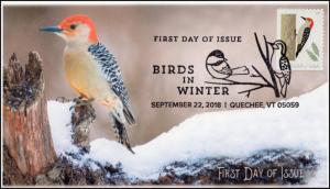 18-259, 2018, Birds in Winter, Pictorial Postmark, Red Bellied Woodpecker, FDC