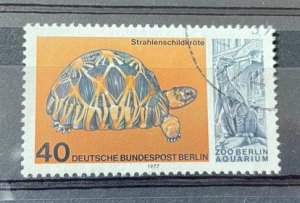 (2134) BERLIN 1977 : Yv# 516 RADIATED TORTOISE - VFU