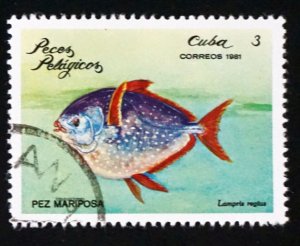 CUBA Sc# 2386  ARCHIPELAGO WILDLIFE marine fish   3c  1981 used cto