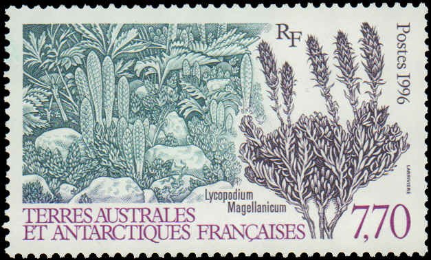 French Southern & Antarctic Territory #220, Complete Set, 1996, Plants, Never...