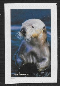 US #5713j (60c) National Marine Sanctuaries - Sea Otter ~ MNH