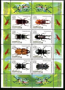 KALMYKIA RUSSIA LOCAL SHEET INSECTS BEETLES