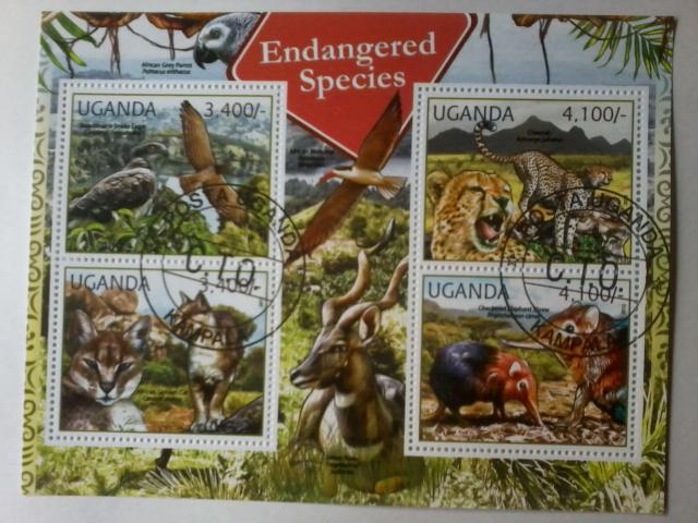 UGANDA SHEET USED WILD CATS WILDLIFE BIRDS ENDANGERED SPECIE