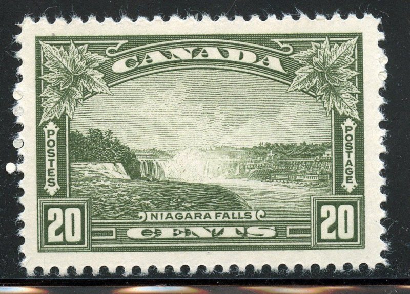 Canada #245 Mint Hinge.