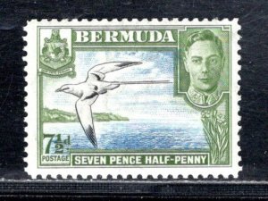 BERMUDA SC# 121D  FVF/MNH