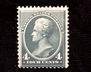 HS&C: Scott #211 Deep color. F NH Mint US Stamp