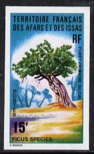 French Afars & Issas 1974 Forest Plants (15f Fiscus T...