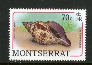 MONTSERRAT 688 MNH BIN $0.70 SHELLS