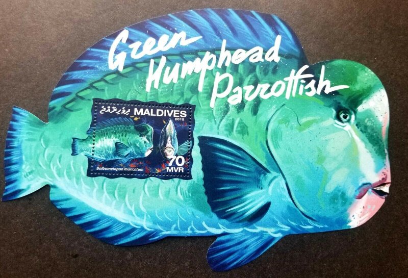 Maldives Green Humphead Parrotfish 2015 Marine Life Fish (ms) MNH *odd *unusual