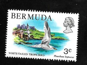 Bermuda 1978 - MNH - Scott #363
