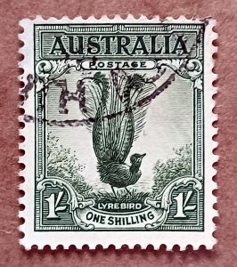 Australia #141 1sh Male Lyre Bird USED (1932)