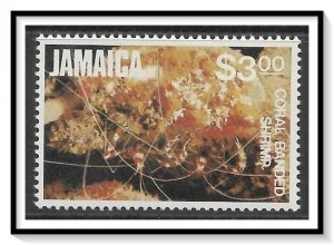 Jamaica #527 Coral-banded Shrimp MH