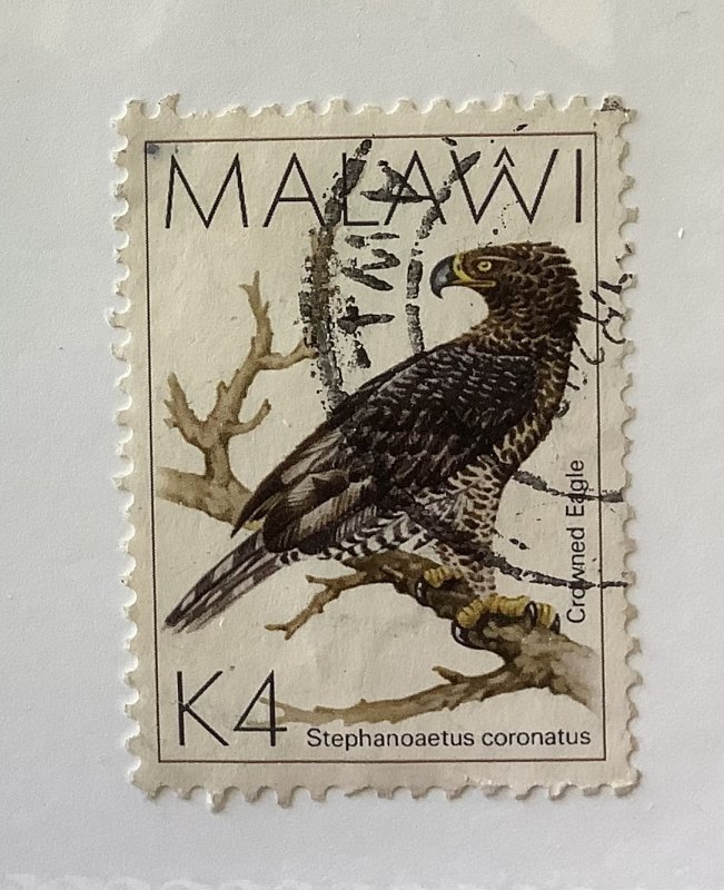 Malawi 1988  Scott 532  used - 4k,  birds,  crowned eagle