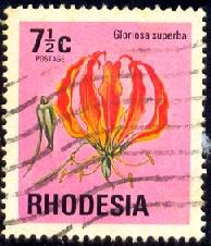 Flower, Flame Lily, Rhodesia stamp SC#334 used