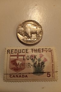Buffalo Indian Stamp & Coin Combo