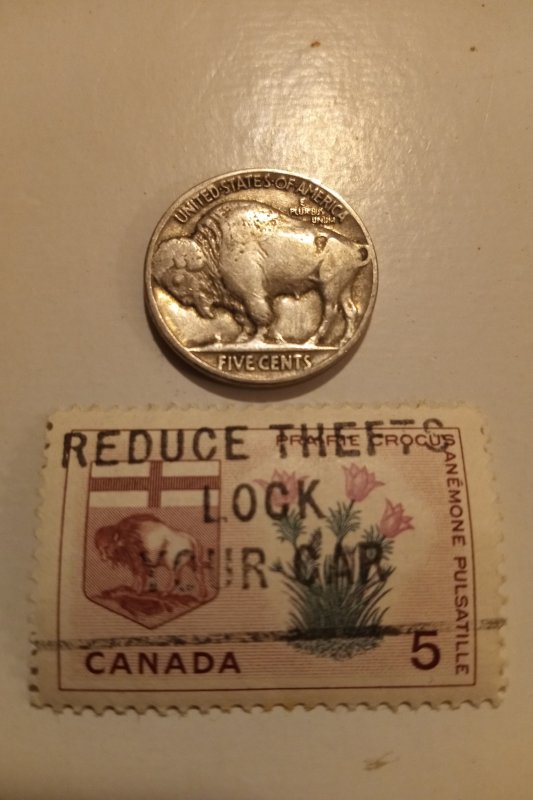 Buffalo Indian Stamp & Coin Combo