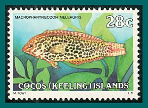 Cocos 1980 Wrasse, 28c MNH #42,SG40a