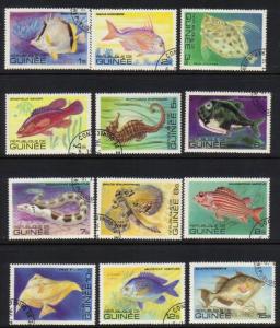 Guinea #795-806 complete fish