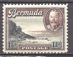 Bermuda 107 (M)  