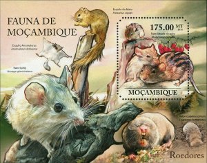 Rodents Stamp Anomalurus Derbianus Acomys Spinosissimus S/S MNH #4937 / Bl.507