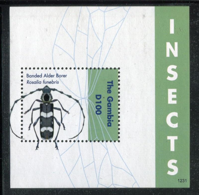 Gambia 3475, MNH, Insects Beetles, 2012. SCV-$6.0 x26145