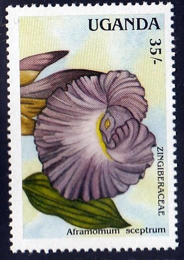 Uganda 616 Zingiberaceae Flower, MNH