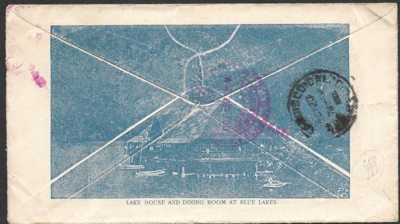 Doyle's_Stamps: Lake County, CAL Spec Delivery Ad Cover, Scott #E6, #301