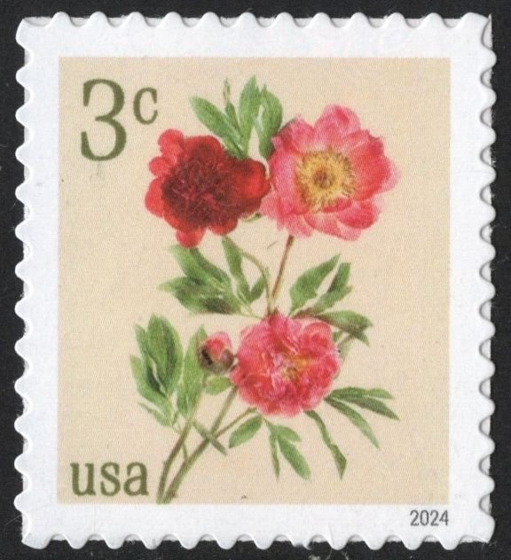 NEW ISSUE: 3¢ Peonies Single (2024) SA