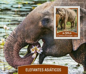 Sao Tome & Principe 2021 MNH Wild Animals Stamps Asian Elephants 1v S/S